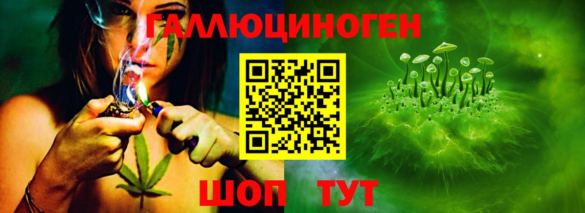 Псилоцибиновые грибы Psilocybine cubensis  Вход с VPN  Псилоцибиновые грибы прущие грибы  Грозный 