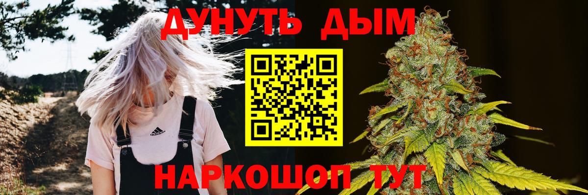 Шишки марихуана индика Грозный